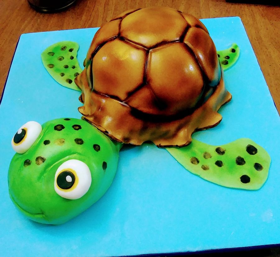 Sculpted sea turtle cake on a blue board